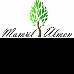 Francisco Puga Altamirano - @mamul_ulmen - Instagram
