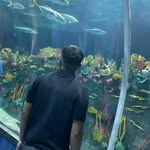 Francisco Roque - @roquef768 - Instagram
