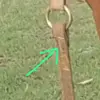 jjjajjs+ssajajajaajjjajajajajs - @franciscoschmidt47 - TikTok