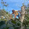 schmidtfrancisco07 - @schmidtfrancisco07 - TikTok