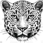 Francisco Tun - Facebook