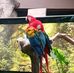 Francisco Valentin - Facebook