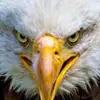 Francisco valentin - @francisco.valentin - TikTok