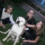 Franck Poisson - @franck.poisson.12 - Instagram