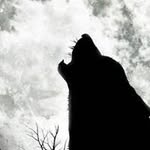 agresti franco - @agrestifranco - Instagram