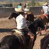 Alvarez franco - @francoalvarez0312 - TikTok