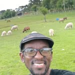 Franco Alves - @aldeci.alves.9400 - Instagram