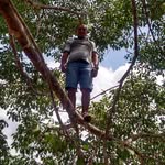 Franco Alves Dos Reis - @franco_alves_dos - Instagram