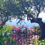 Franco  Anselmi - @relaxing.waves.imperia - Instagram