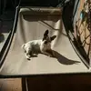 Franco Antonelli - @franco.antonelli72 - TikTok