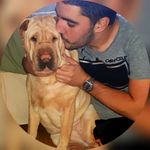Franco Antonelli - @francoantonelli_ - Instagram
