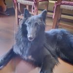 Franco Antonelli - @franco.antonelli191262 - Instagram