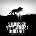 Franco Bernal - @francobernal654 - Instagram