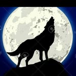 franco Bernal - @fr.anco569 - Instagram