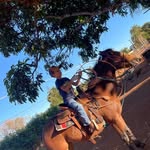 bernardo Mendes Franco - @francobernardomendes - Instagram