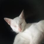 Franco Bernardo - @franber__ - Instagram