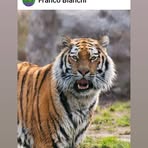 Franco Bianchi - Facebook