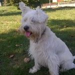 franco.bucci - @buccifranco44 - Instagram