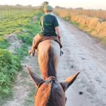 Franco canepa - @franco.canepa2 - Instagram