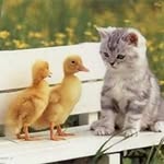 Franco Cavalli - @fracav53 - Instagram