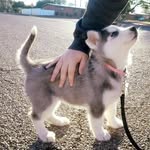 Franco Chin - @franco_chin - Instagram