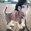 Franco Chin - @franco.chin1 - TikTok