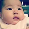 Franco Chu - @mercipedia - TikTok