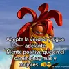 @Randy .Rivaldo7 - @francochuctaya509 - TikTok