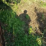 Cioffi Franco - @franco.cioffi1962 - Instagram