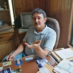 Senado  Luis Ariel Franco Cuevas - Facebook
