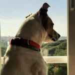 curcio franco - @francocurcio55 - Instagram