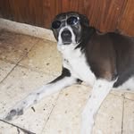 Franco Curcio - @franco_curcio_96 - Instagram