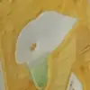 demarcofranco - @demarcofranco - TikTok