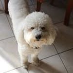 Franco D'onofrio - @fr.donofrio - Instagram