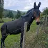 francoferretti - @ferrettiifranco - TikTok