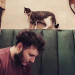 Franco Gabriele - @franco_nicoo - Instagram