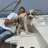 Franco Gatto - @franco.gatto1 - TikTok