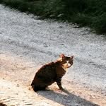 Franco Gatto - @filmbybel35 - Instagram