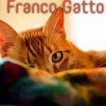 Franco Gatto - @franco.gatto_guro - Instagram