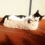 Franco Gatto architetto - @archigatto - Instagram