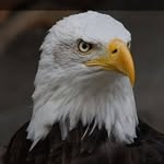 Franco Giorgio - @franco.giorgio.549 - Instagram
