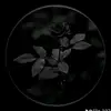 🫰🫶ALO LOZA 🥰🫰 - @franco.jaramillo62 - TikTok