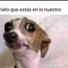 lemosfranco470 - @lemosfranco470 - TikTok