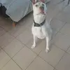 franco leonardi - @francoleonardi702 - TikTok