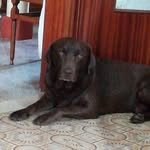 Franco Lodi - @franco.lodi.908 - Instagram