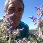 Franco Lodini - @lodinifranco - Instagram