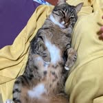@franco.mariotti.09 - Instagram