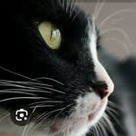 Franco Mariotti - @mariotti.franco13 - Instagram