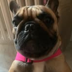 Franco Massari - Facebook