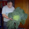 Franco Massari - @franco.massari5 - TikTok